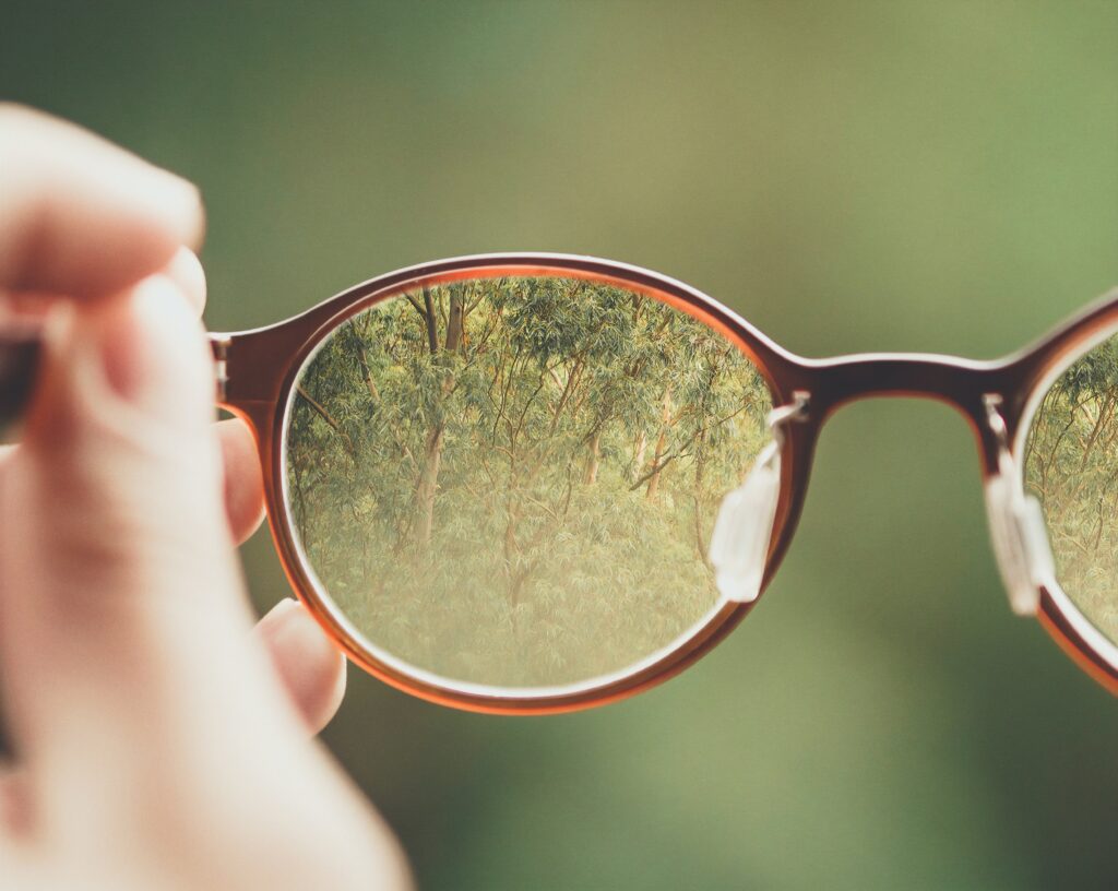 pair of glasses held up to make green, blurry trees in background more clear